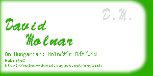 david molnar business card